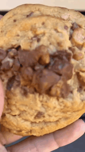 Insomnia Cookies Chocolate Chunk Cookie