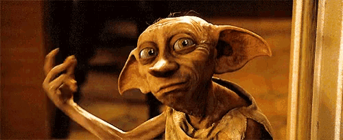 Harry Potter's Dobey: Funny Face & Magic