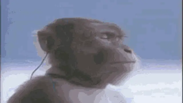 Sony Playstation Monkey Ad