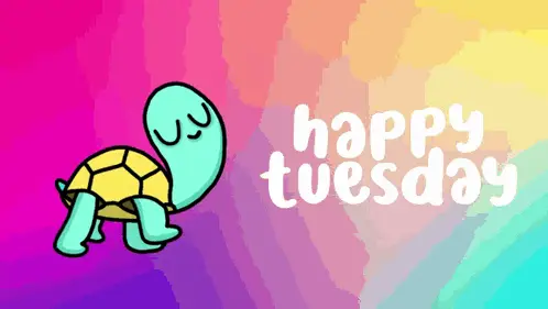 Happy Tuesday Turtle – free GIF download | memes GIF | meme platform