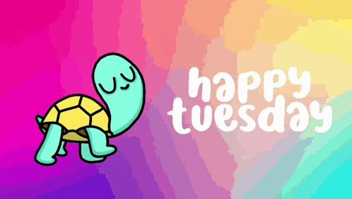 Happy Tuesday Turtle