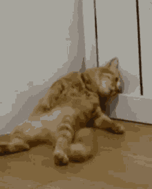 GIF uploaded by Kartik