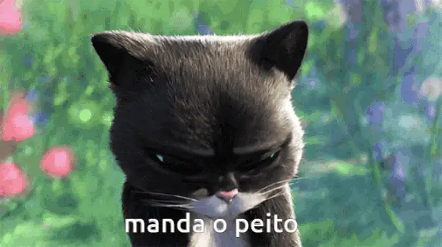 Breno Prates Brenocarente: Manda o Peito Cat Meme