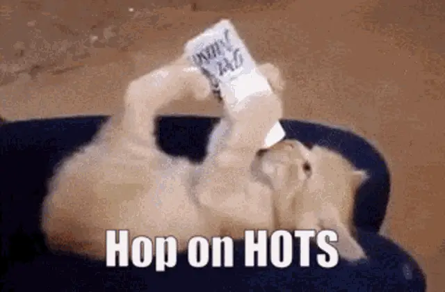 Hop On Hots Milk