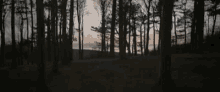 GIF e kentsoeng ke PinkPeony