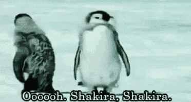 Dancing Penguins with Shakira Caption