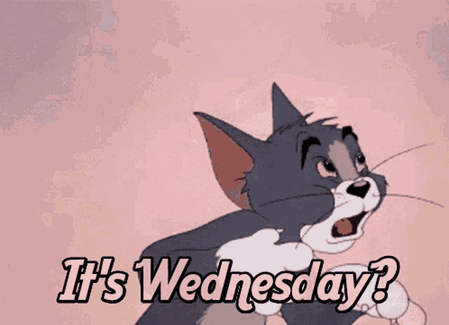 Tom and Jerry: It's Wednesday?