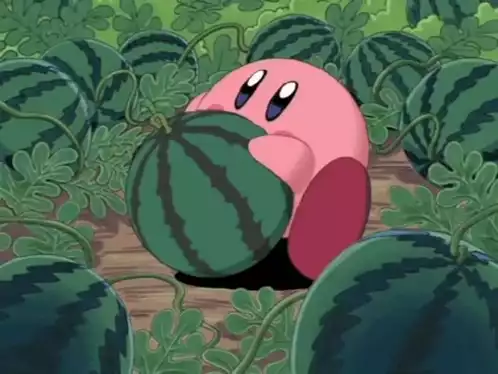 Kirby Devours a Watermelon in the Field