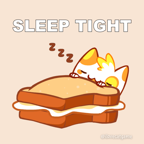 Sleep Tight Cat Sandwich – free GIF download | meme platform | memes GIF