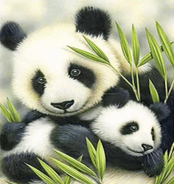 Panda Meme