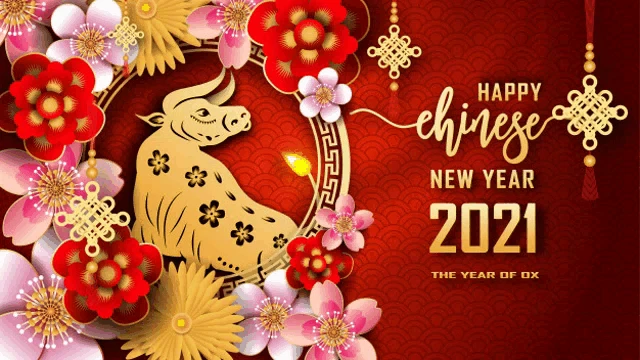 Chinese New Year Meme
