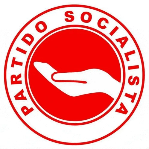 Partido Socialista Meme