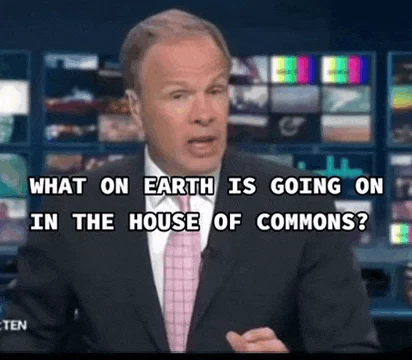 What Is Going On In The House Of Common Meme