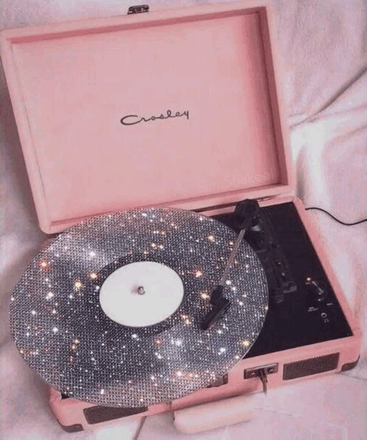 Vinyl Record Meme