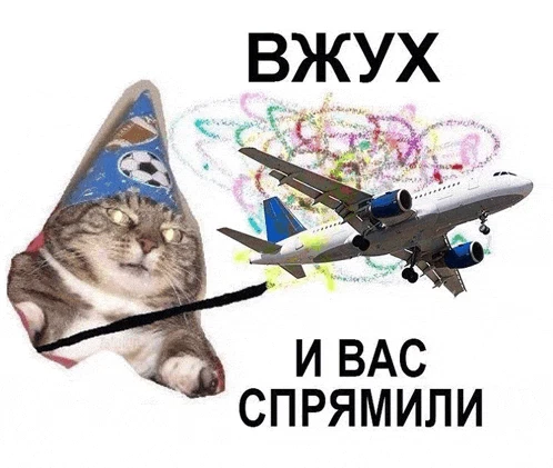 Director Meme