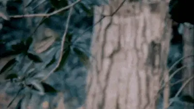 John Lennon In The Garden John Lennon 1967