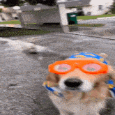 GIF објавен од Steve