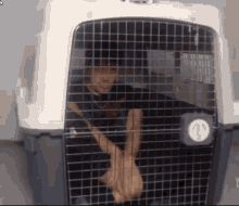 GIF
