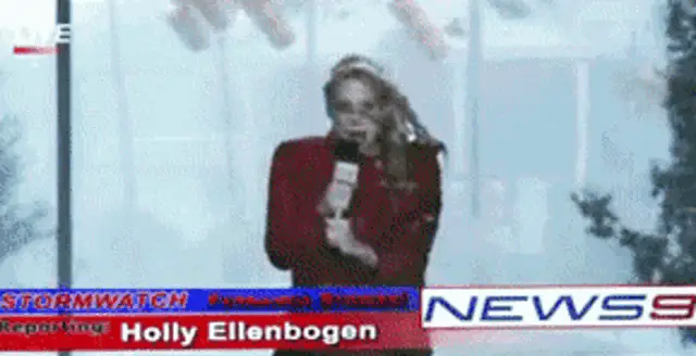 Holly Ellenbogen Hit by Flying Stop Sign