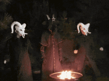 GIF uploaded by Phoebe
