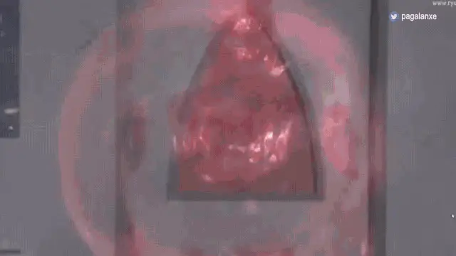 Red e o Frio de Curitiba