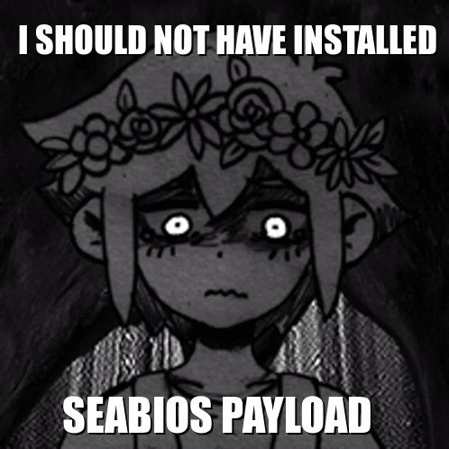 I Shouldt Not Have Installed Seabios
