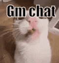 Comment GIF