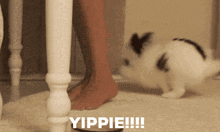 GIF uploaded by Kimmy