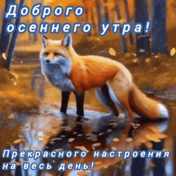 Лиса в осеннем лесу: Доброе утро!