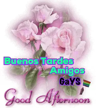 Good Afternoon Friends Gays from Mexico