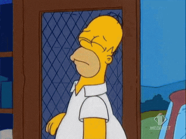 Homer Hmph