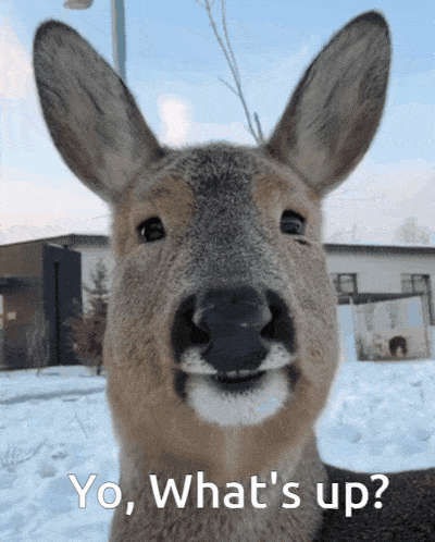 Chill Deer's Friendly Greeting