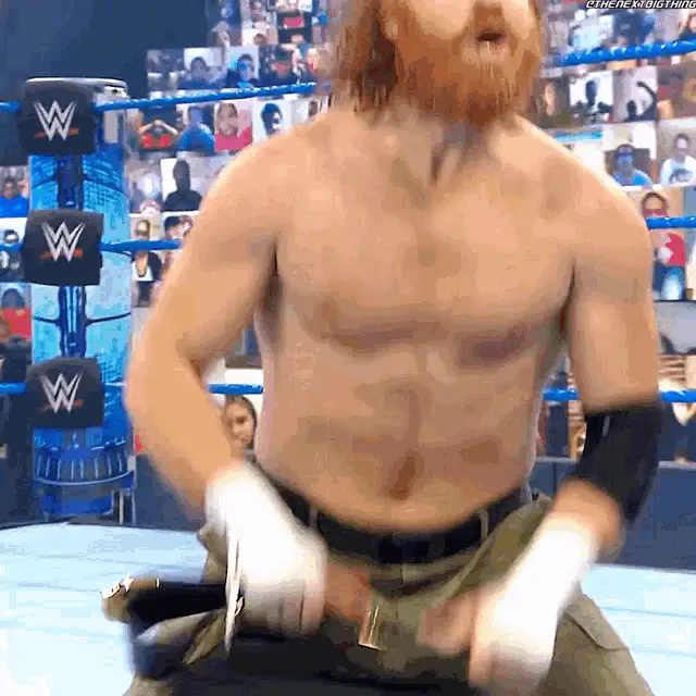 Sami Zayn Intercontinental Champion