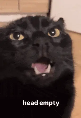 Head Empty Black Cat Meme – free GIF download