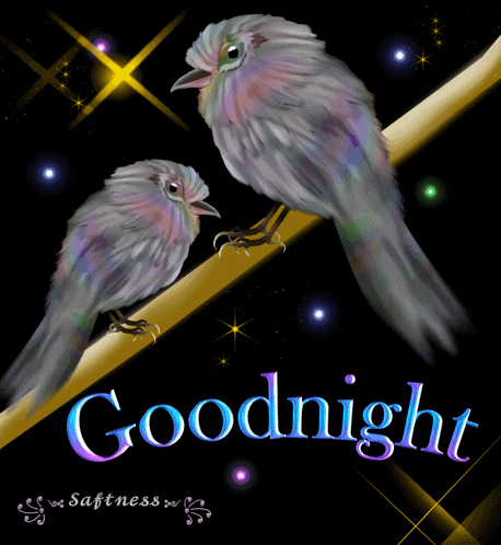 Sparkling Goodnight Birds on a Branch