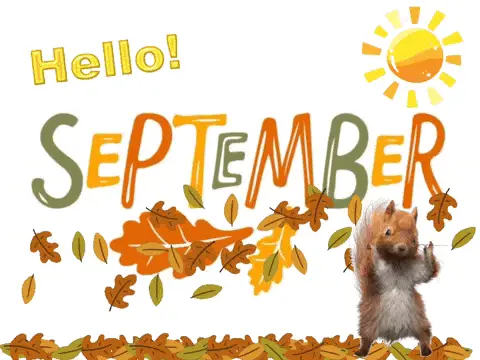 Hello September! Autumn Squirrel & Leaves – free memes GIF download | meme platform