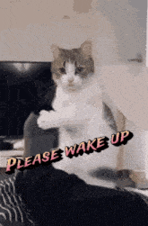 GIF uploaded by Waynez