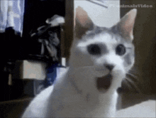 GIF subido por Luisa