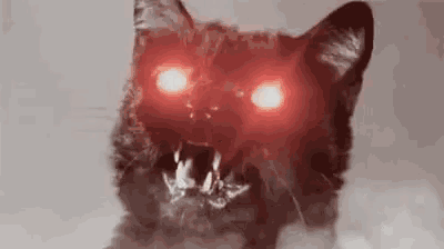 Possessed Cat with Glowing Red Eyes