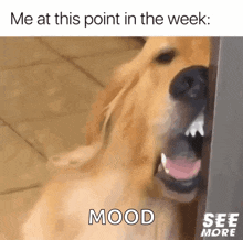 GIF uploaded by gel