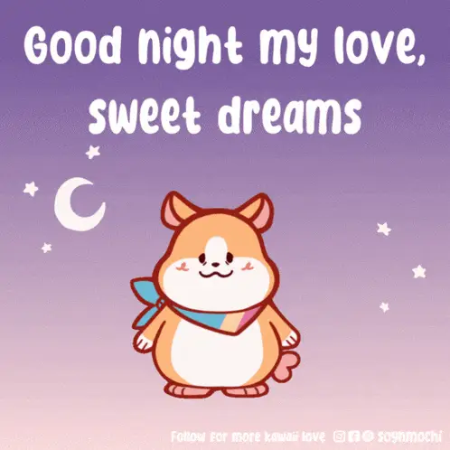 Good Night My Love, Sweet Dreams Hamster