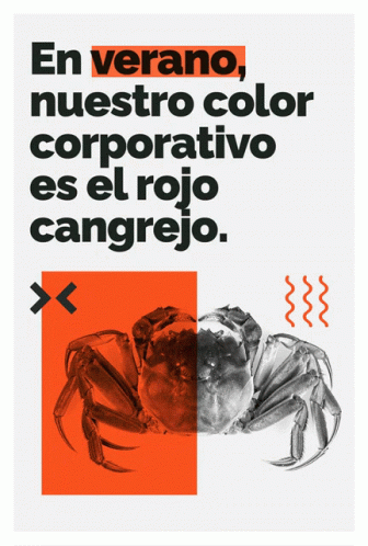 Chumbo Verano: Carteles de Campaña de Verano