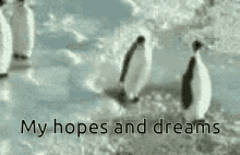 GIF رفعها Miku