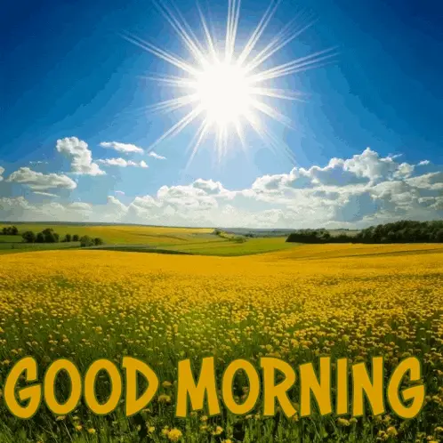 Good Morning Sun over Yellow Flowers – good morning memes meme GIF free download no watermark 2026