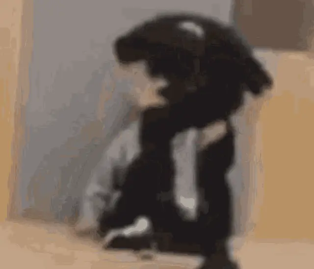 MCND Twerk Dance Meme