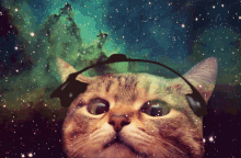 GIF