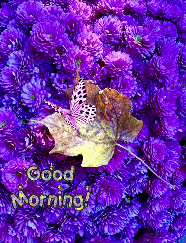 Good Morning Flowers with Butterfly