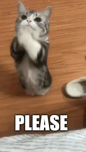 Cat Begging with 'PLEASE' Caption