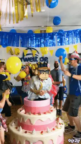 Moneymindedapes Party with Monkey Cake