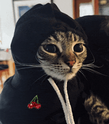 ꨄ𝐃ꨄ 上傳的 GIF